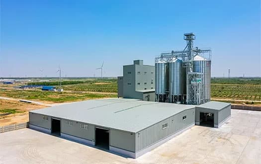 cattle feed production line case